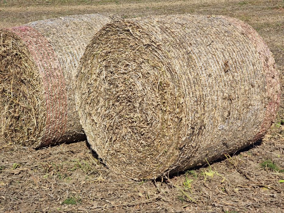 Baloti de soia facute recent