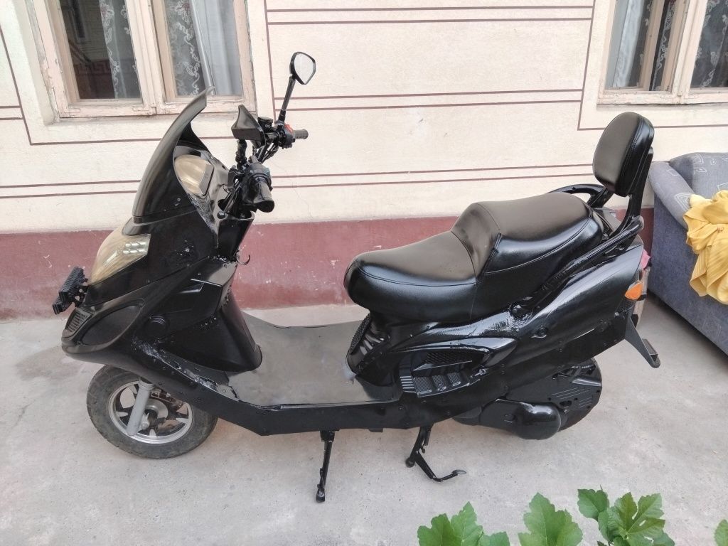 Irbis sukutir sirochna sotiladi