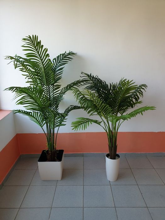 дерево - Пальма искусственная Костанай