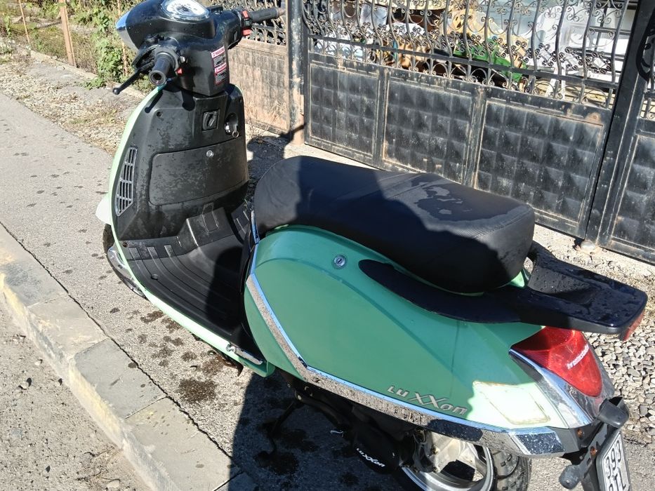 Scuter luxon 49cm