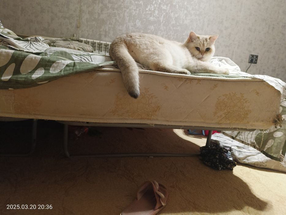Продается кровать