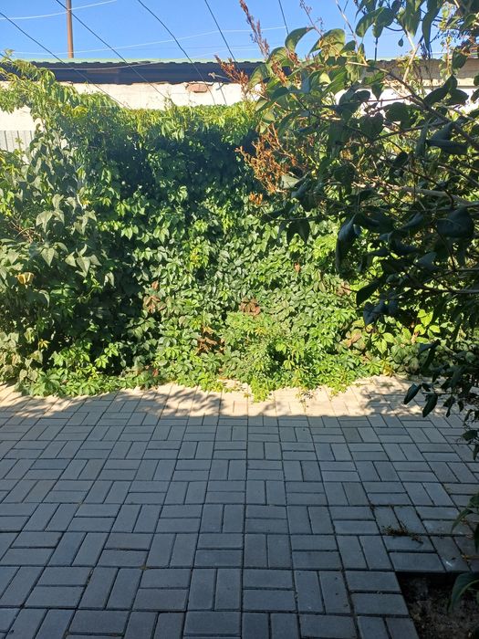 Продаётся большая дача