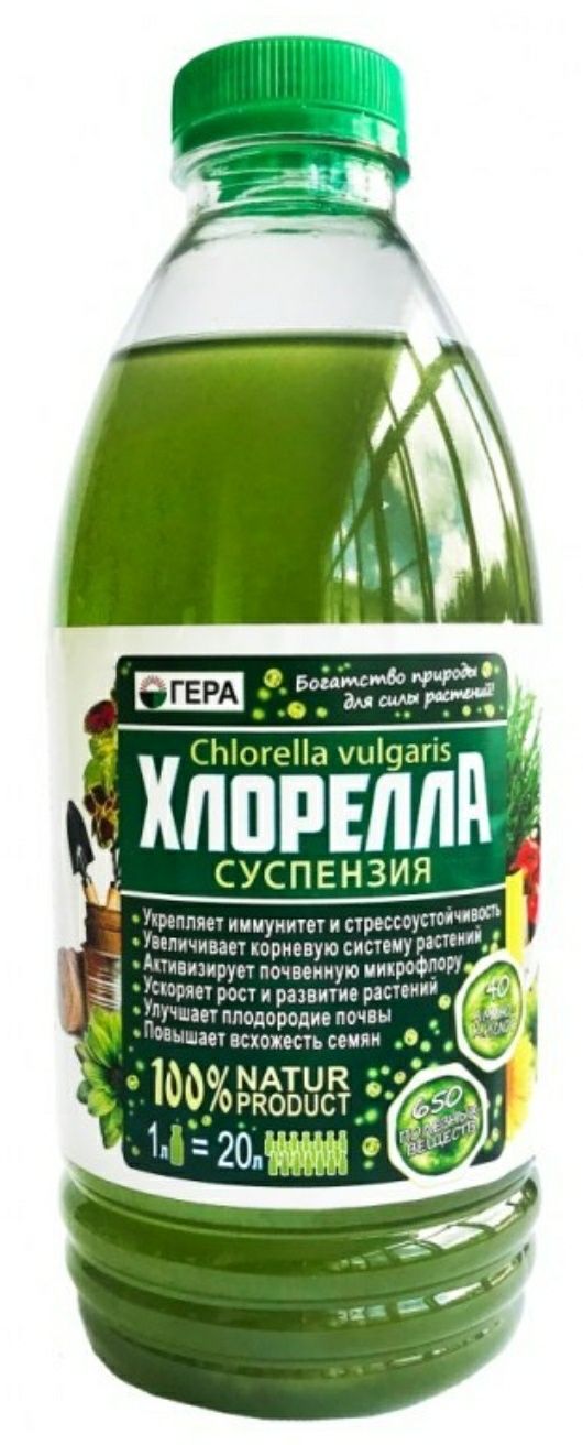 Хларела  живая органическоя