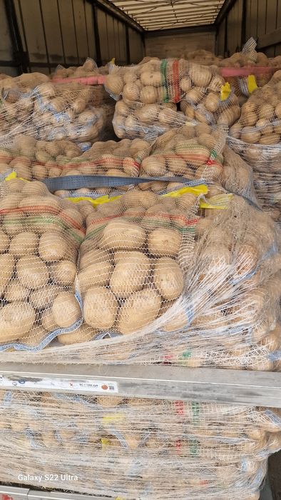 Ceapa Cartofi pere mere morcov import