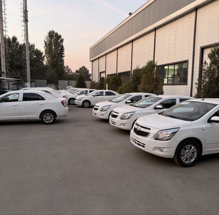 Cobalt LTZ 2025 style Notarius bonus !!