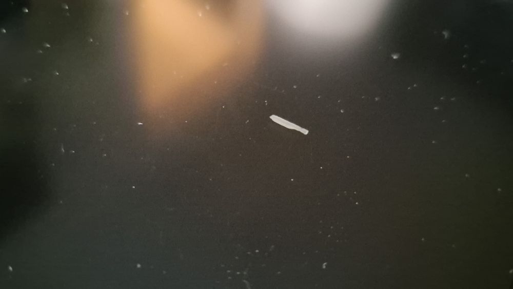 Ceasuri bord digitale kia ceed xceed proceed