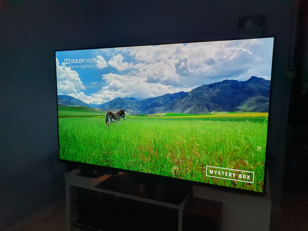 Panasonic OLED 4K 55inch/139cm - TX-55GZ950E