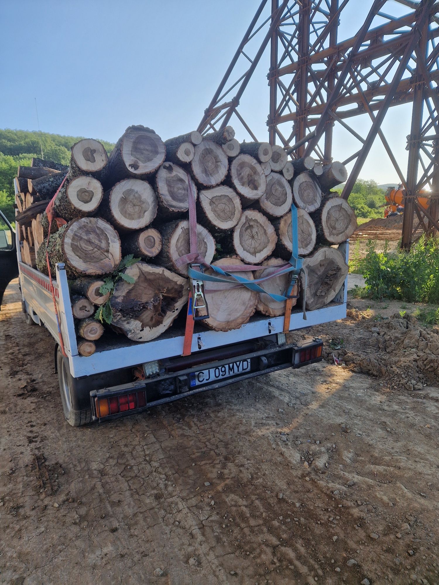 Lemne de foc esență tare