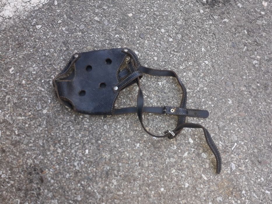 Botnita de piele pt caine