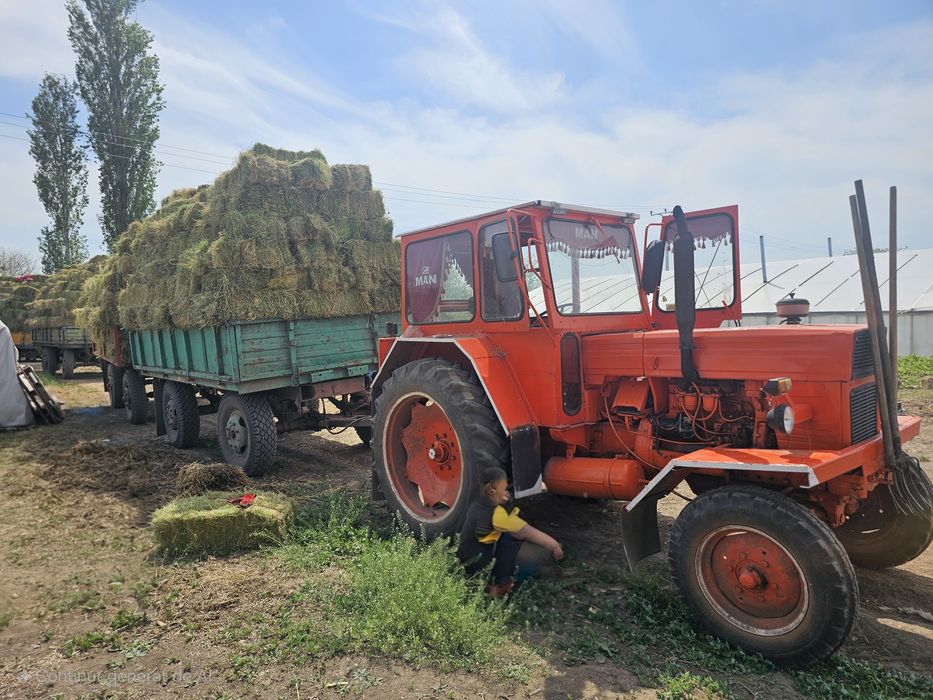 Baloți de lucernă PREMIUM – 30 lei/buc • Calitate garantată!