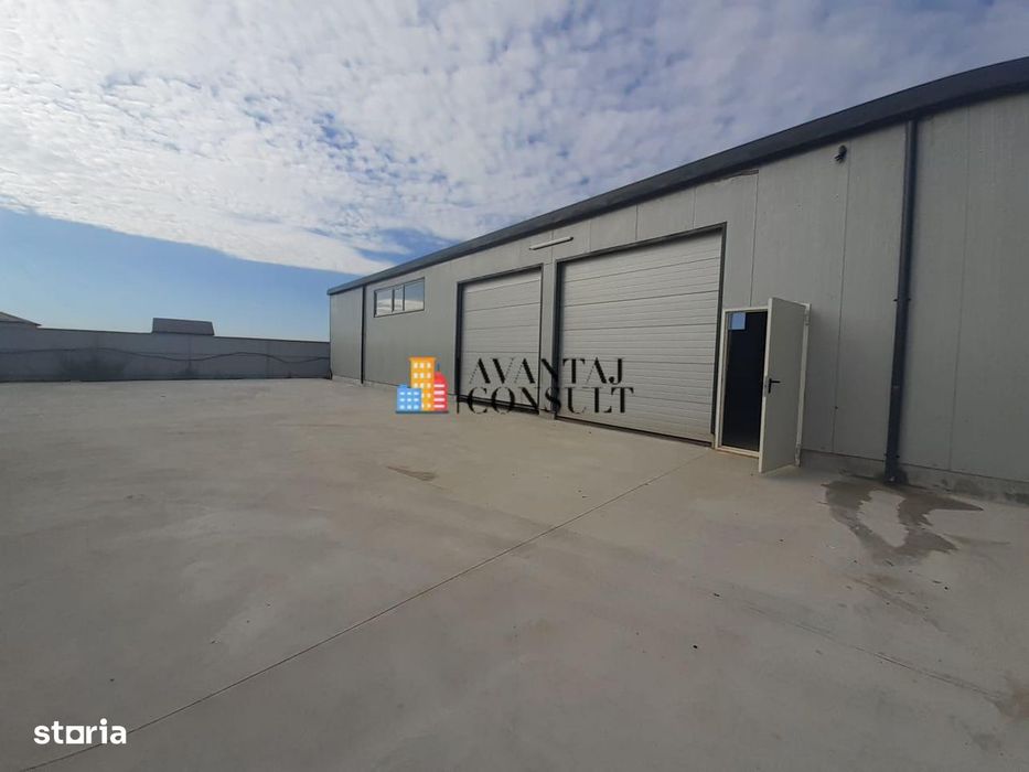 Inchirieri Spatii Industriale Domnesti