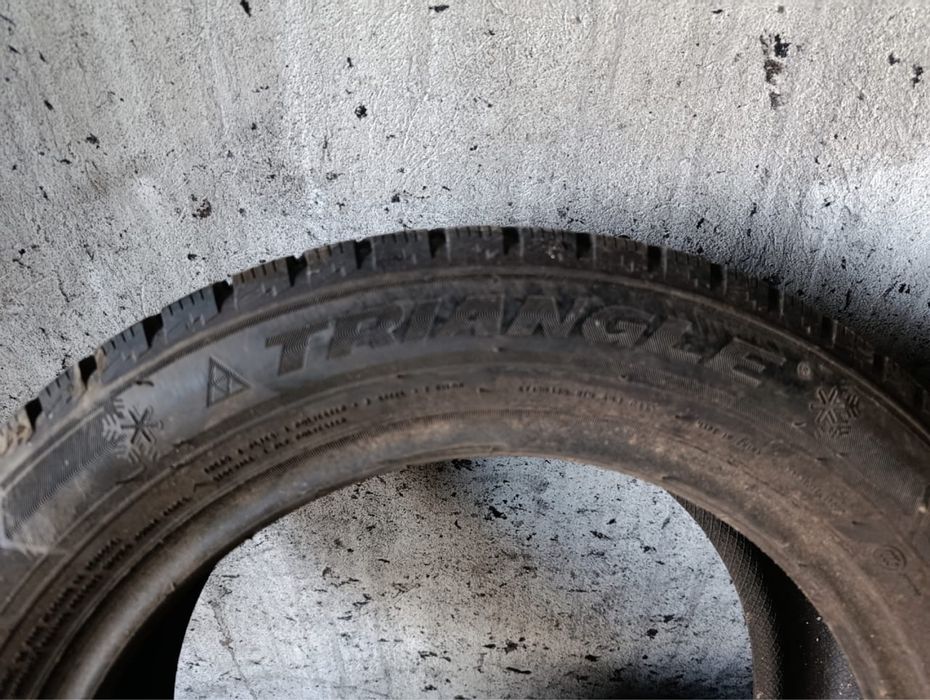 Шины зимние Triangle 205/55/16