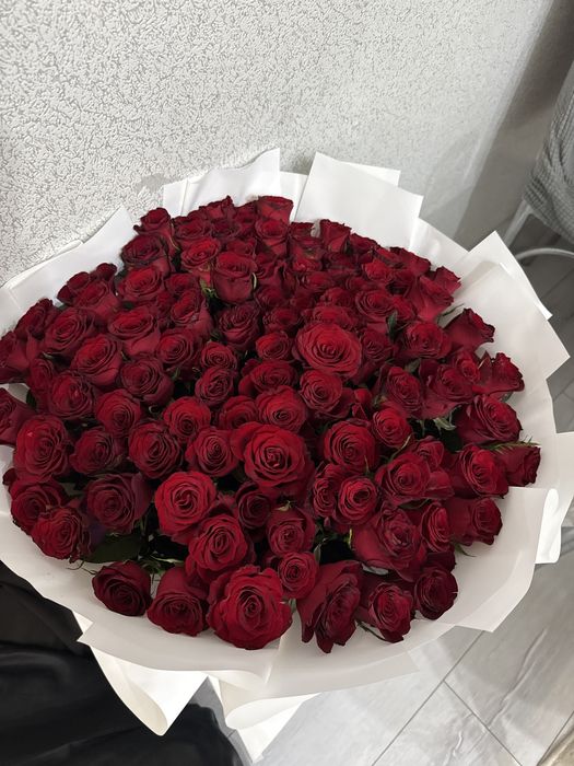 101 красная роза