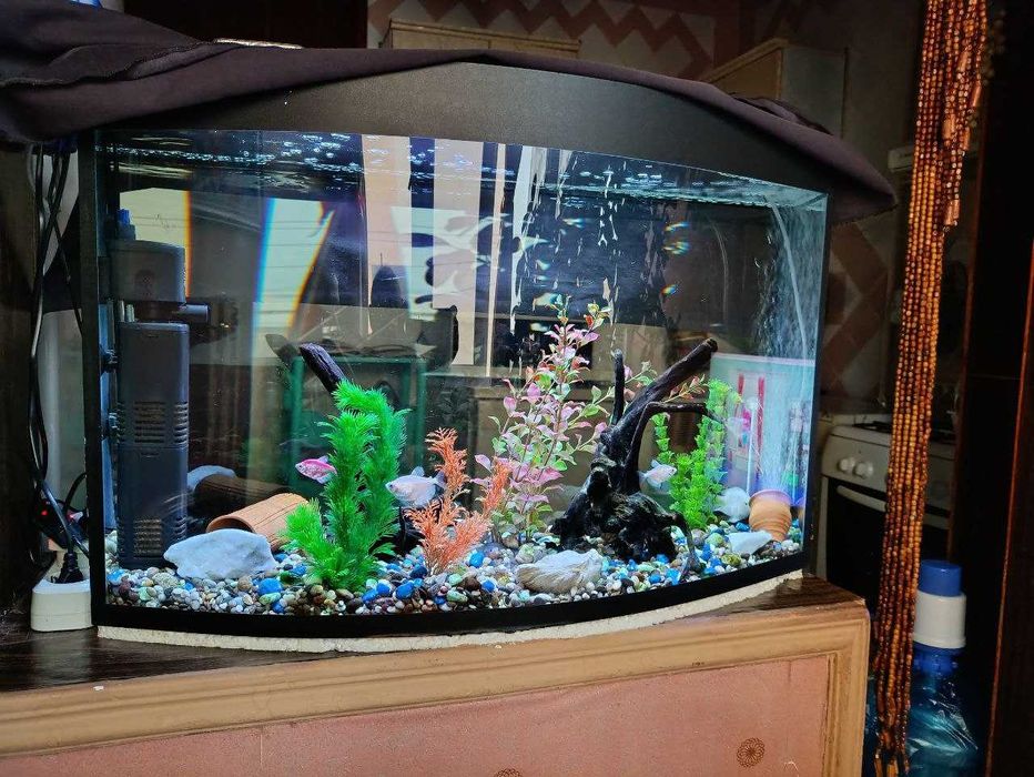Аквариум с оборудованием и рыбками
