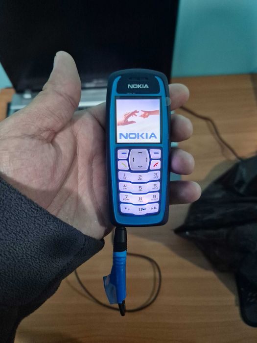 Nokia 3100 retro