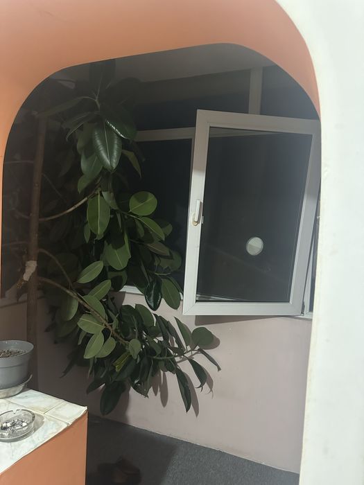 Imchiriez apartament 2 camera langa Titulescu