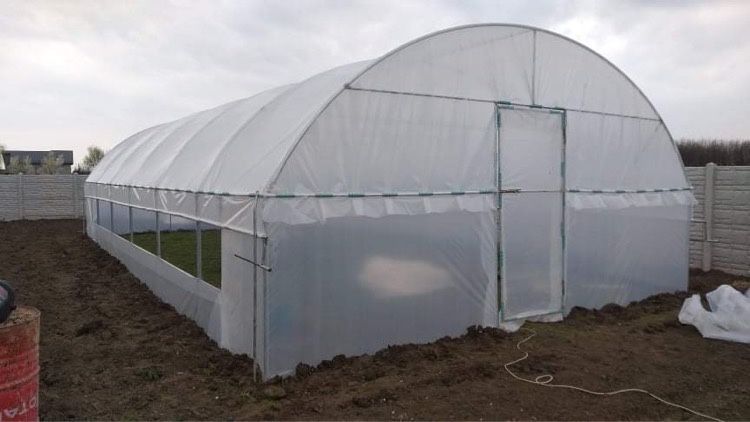 Sere și Solarii la Gata.