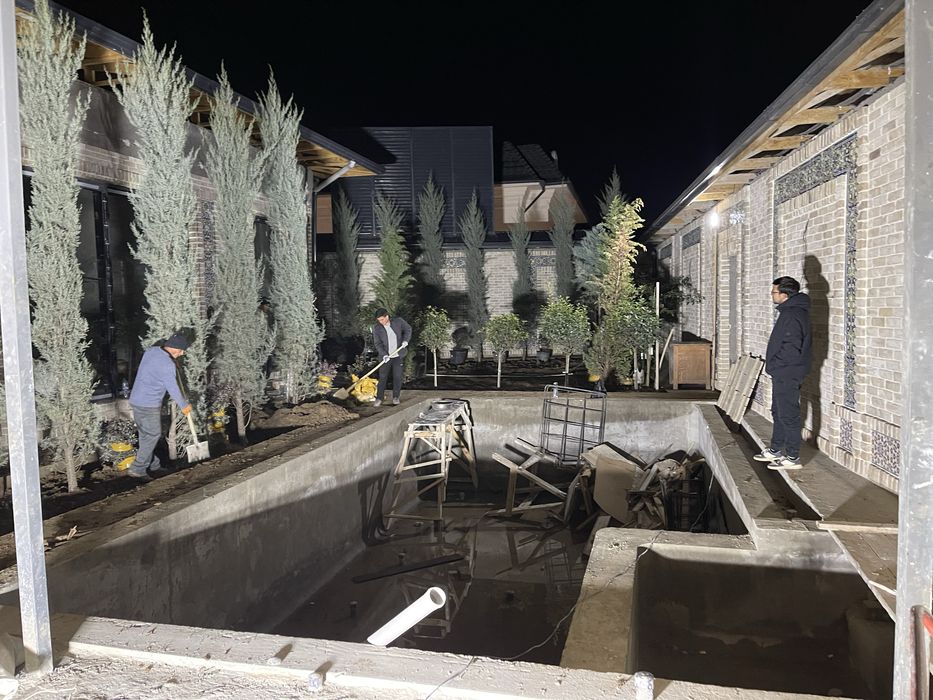 Арчалар доктори СКИДКА