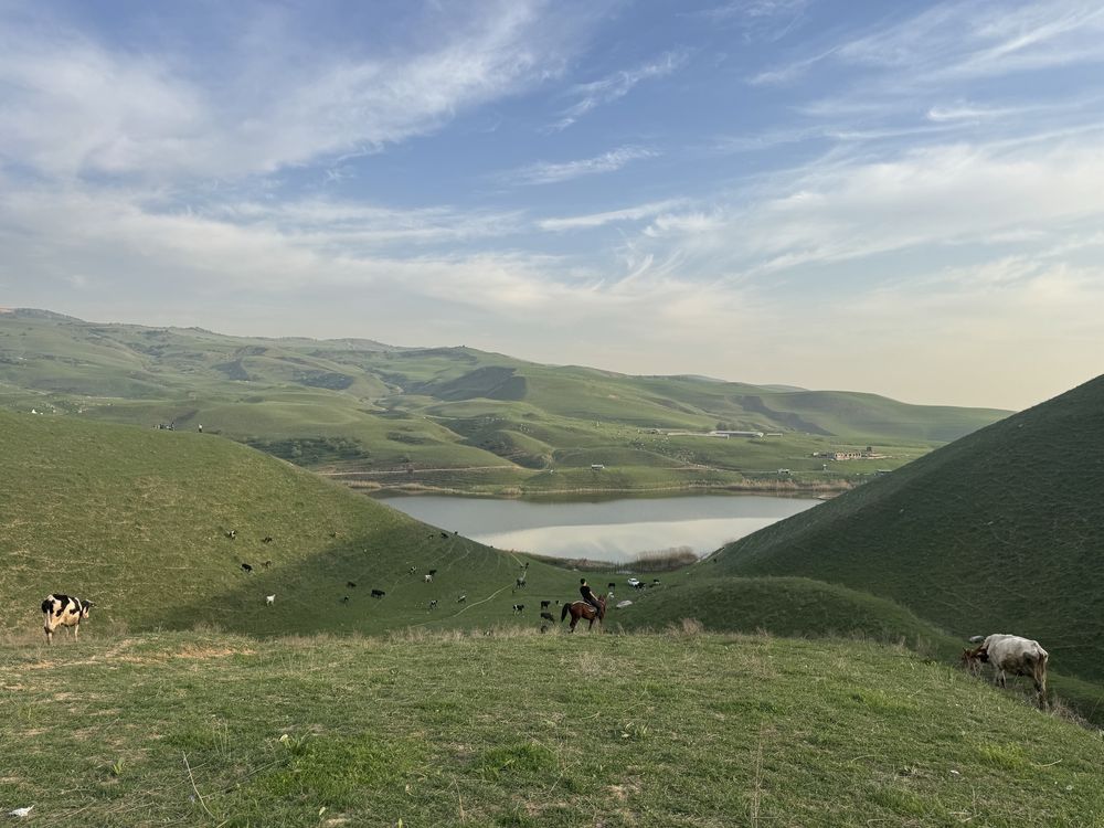 Mikroaftobus 17 kishilik soqoq krasnagor xumson achiq kol zarkent
