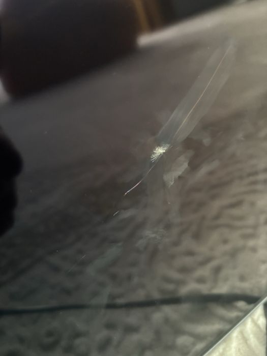 LG OLED 65B42LA – Display defect, se vinde pentru piese