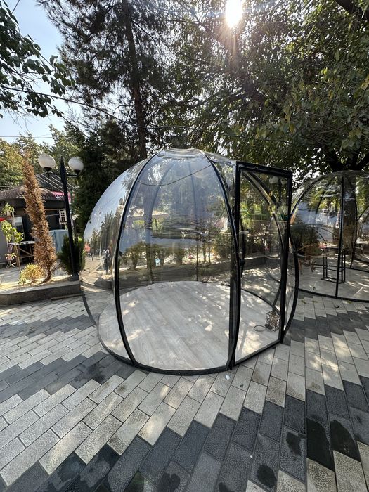 Kapsula prozrachni klyonka