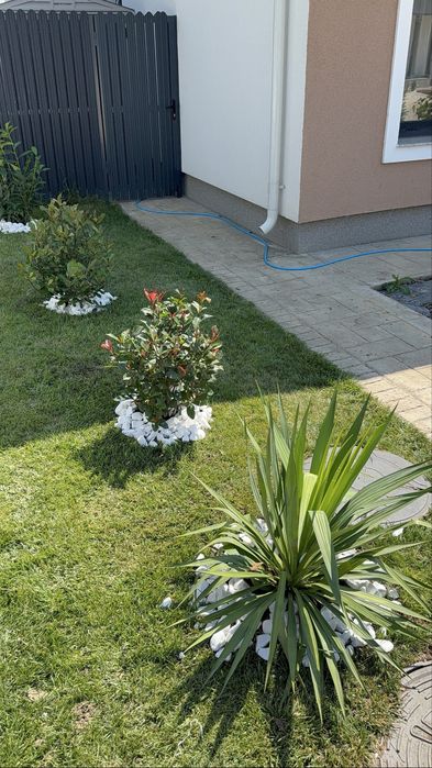 Amenajez complet spatii verzi