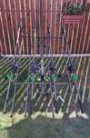 Set Pescuit,4 Lansete 3,90m,2 segm+4Mulinete Aquapro 10.000+Rod Pod
