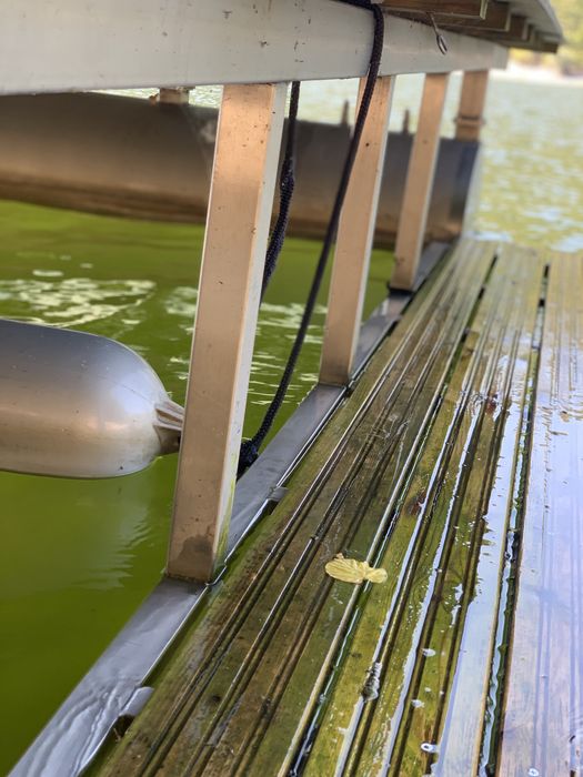 Vand/Schimb Ponton inox 26 mp cu barca sau skijet