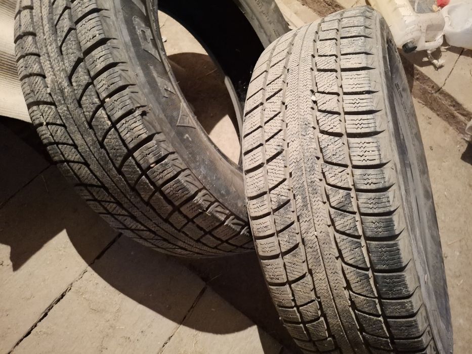 Шина зимние triangle