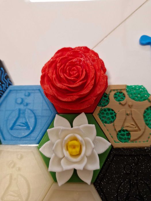 Лапкойн колекция