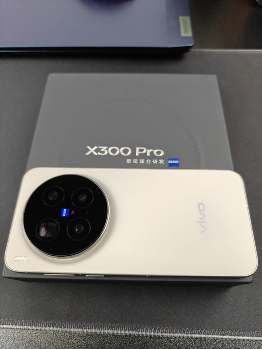 VIVO X300 Pro 12/256