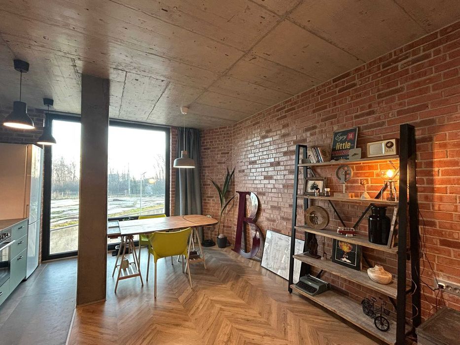 Studio spațios și elegant Mogoșoaia