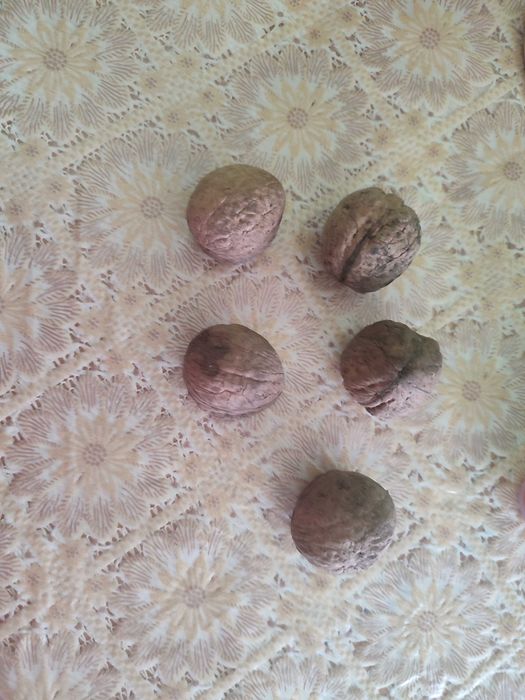 Продавам орехи 90кг на цена 6,00лв за килограм. Получаване от адрес.