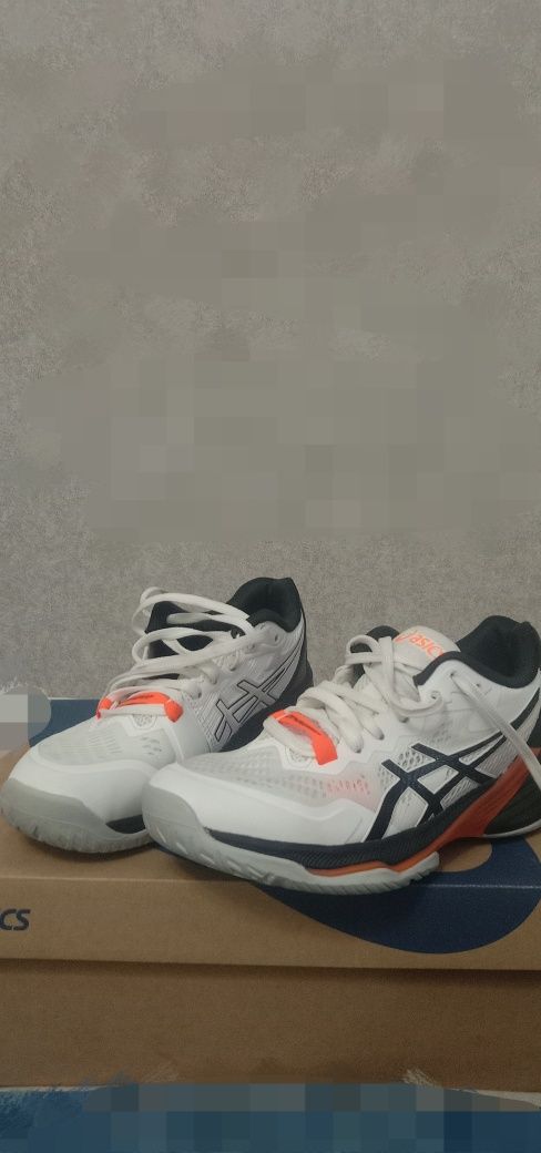 Asics Sky Elite FF MT2, Ишикава