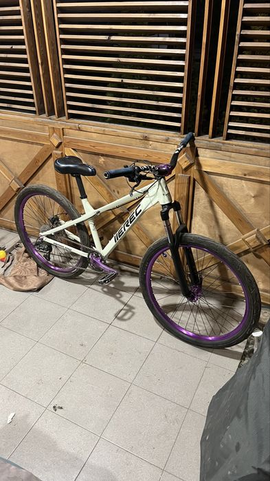 ерек л100 erec l100