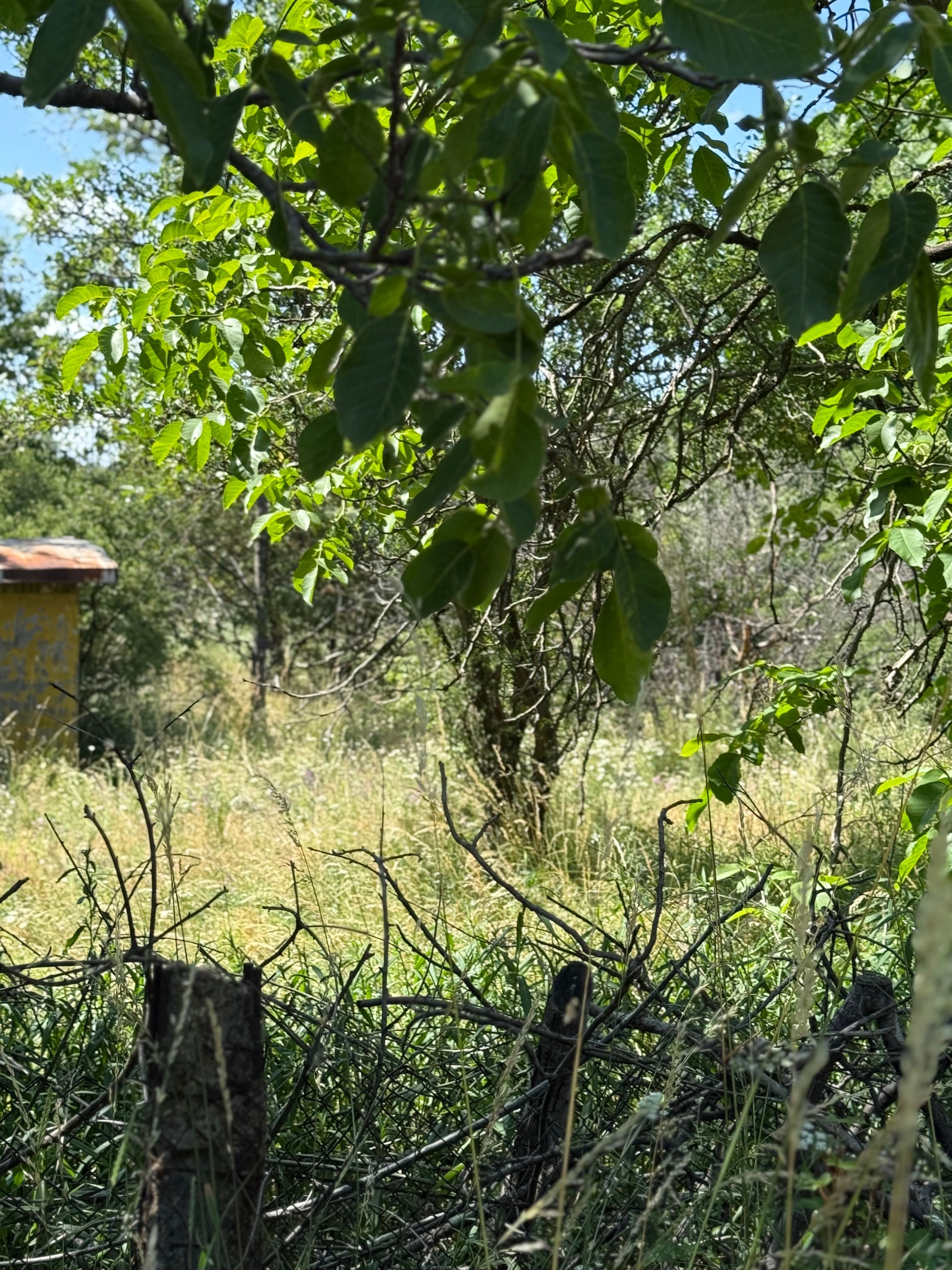 Парцел гр.Бухово