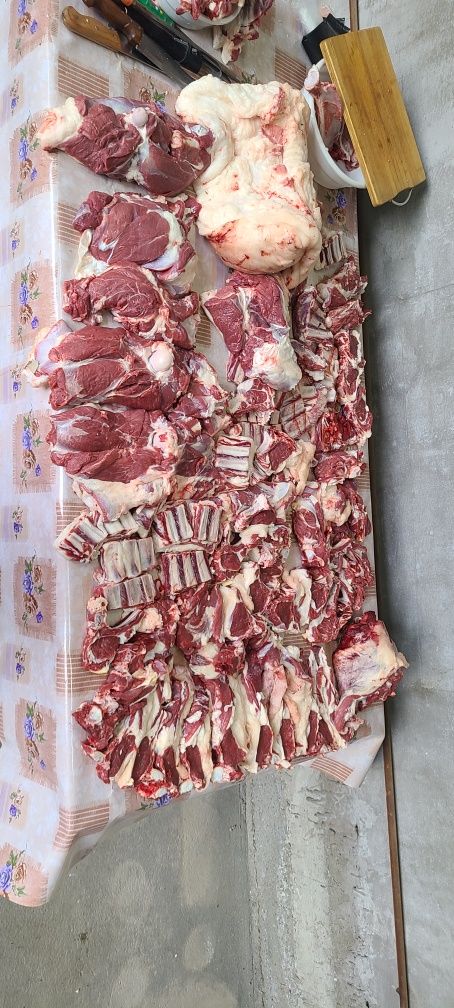 Qassob serviz. Qo'y va qassob xizmatlari. Овцы и мясная услуга.