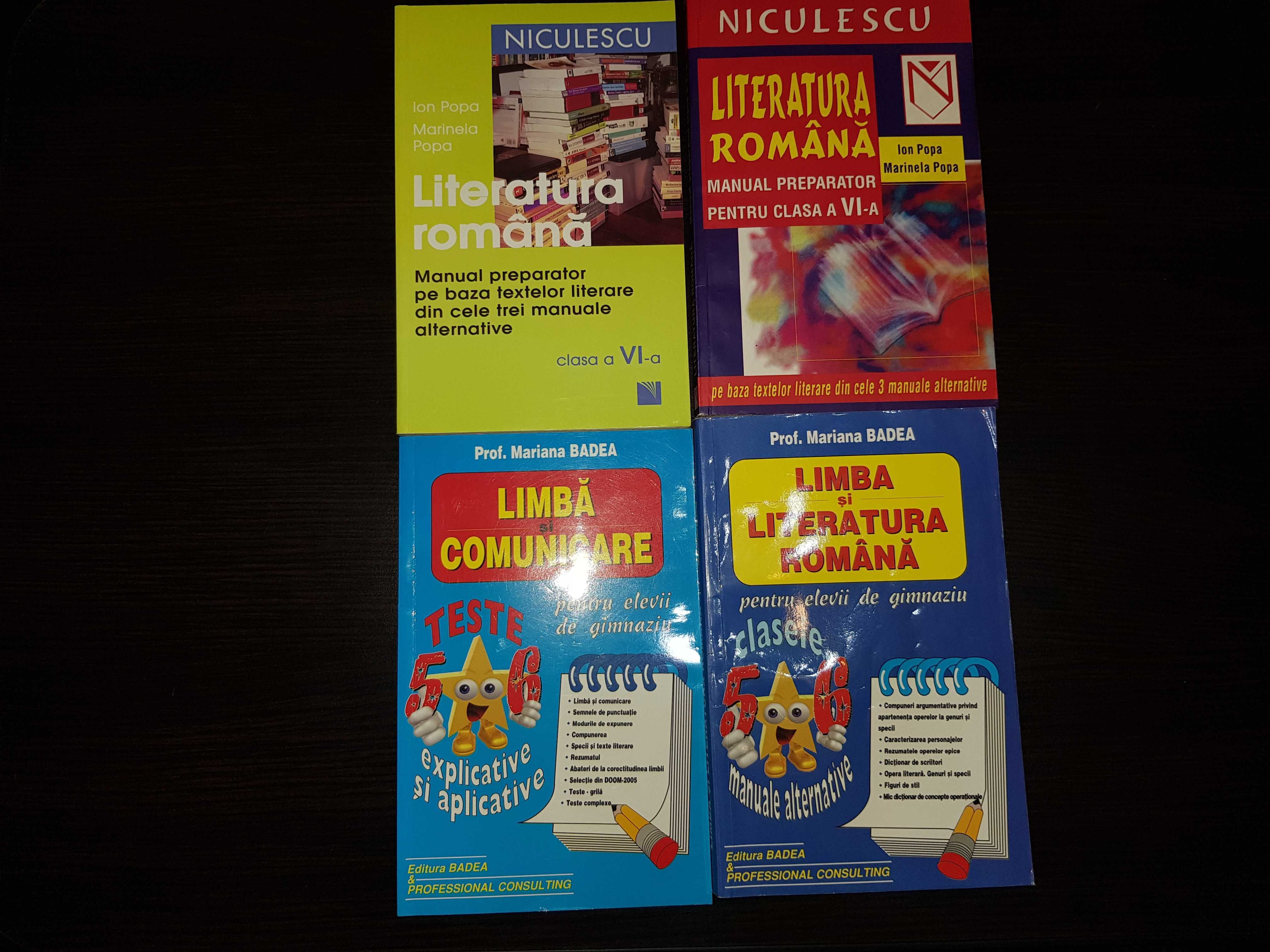 set 4 cărți suport și antrenament lb și lit română clasa a 6 a