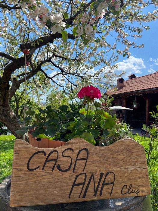Pensiunea Casa Ana Cluj ofera servicii de cazare