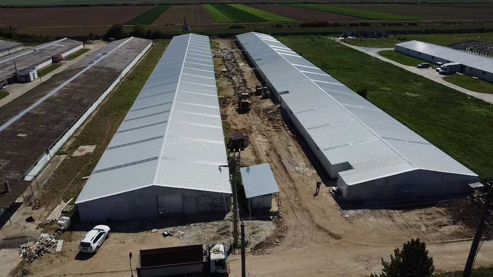 Hala industriala de vanzare in Palota