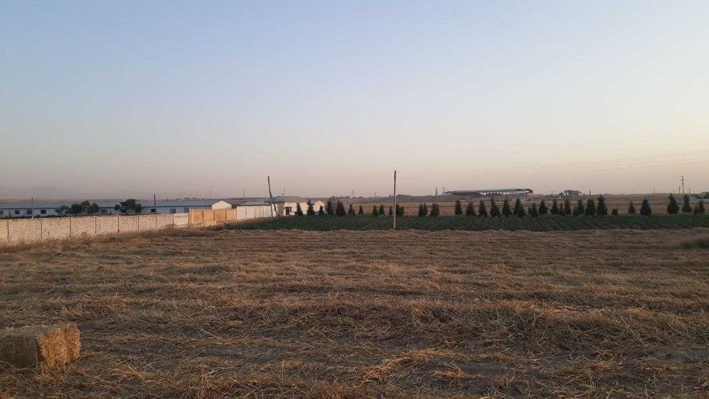 Теплица, паррандачилик, корамол Фермаси (птицеферма, иссикхона, чорва)