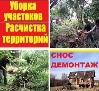 Кронирование,подрезка,кустарники и ТД, Спилим аварийное дерево!