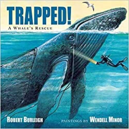 Carte in limba engleza Trapped! A Whale's Rescue