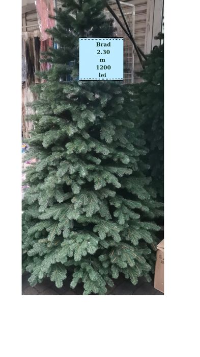 Brad din silicon bogat 2,30 m  si 1.20 m latime jos.