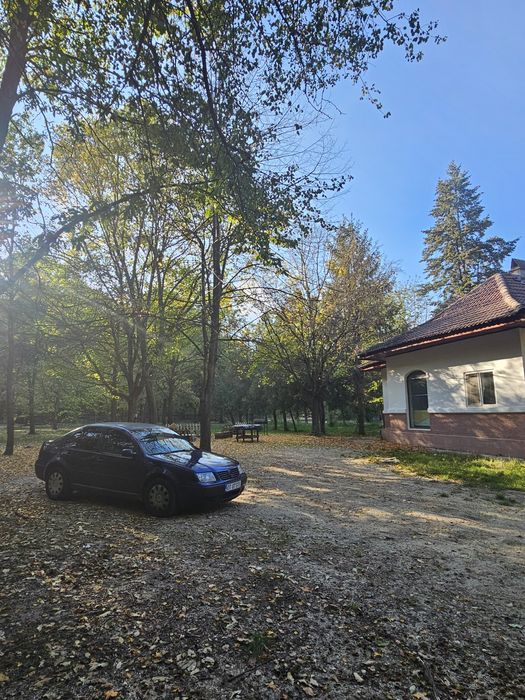 Vând Bora Volkswagen