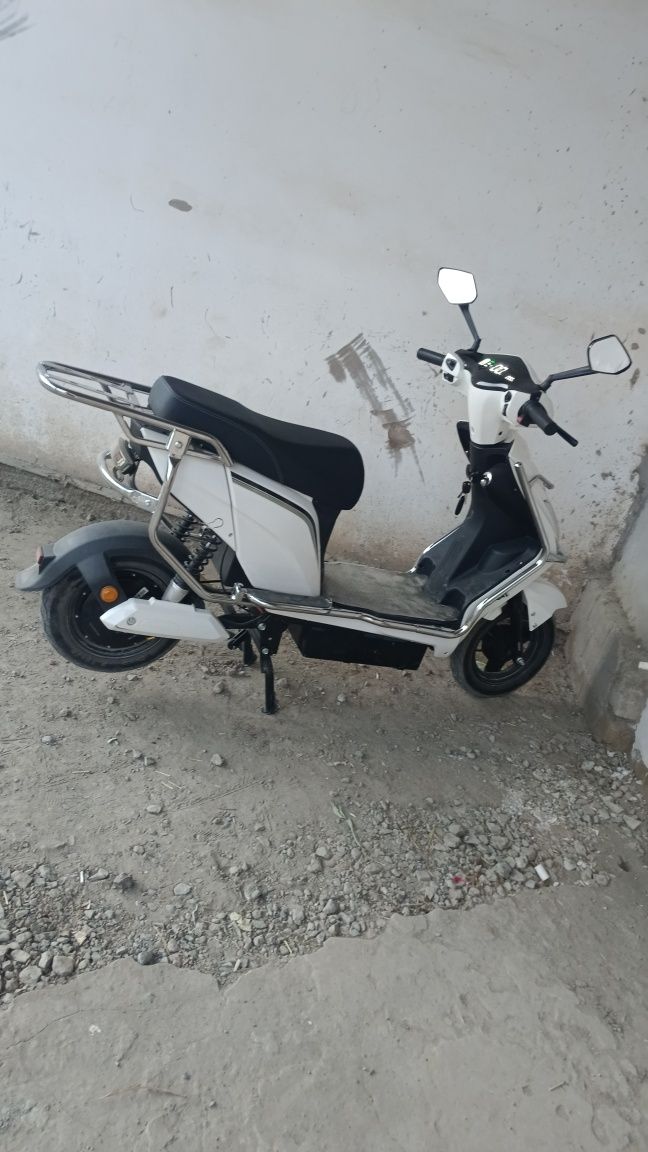 Moto garantiya 50tezlik