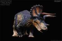 Dinozaur Triceratops Colectie REBOR