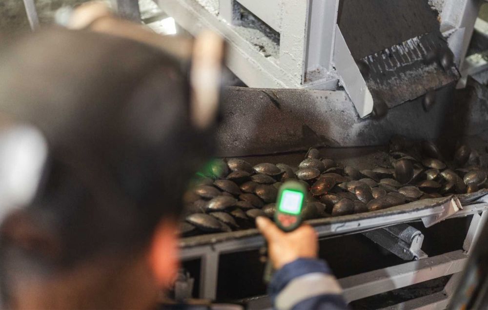 Brichete din COCS petrolier și COCS petrolier//