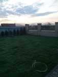 Gazon Rulou de calitate - proaspăt Tăiat și montat