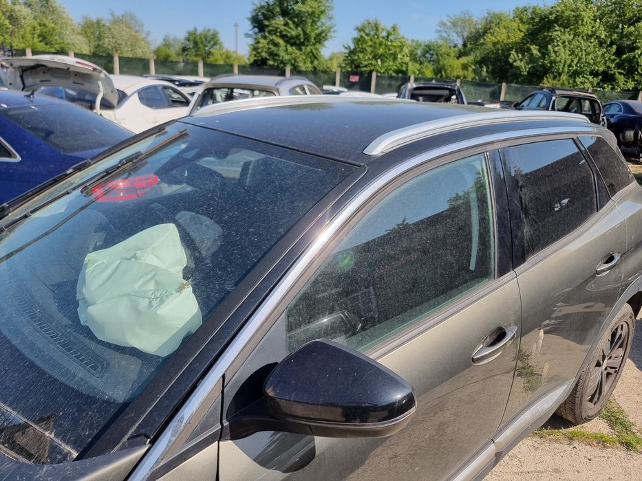bare cupola peugeot 3008 2017